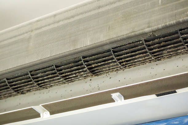 Best Home Air Vent Cleaning  in Mcguire Af, NJ